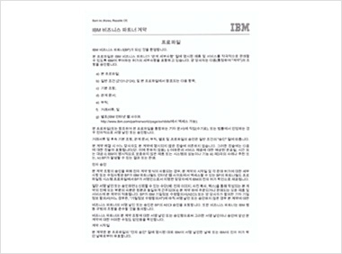 IBM Biz. Partner